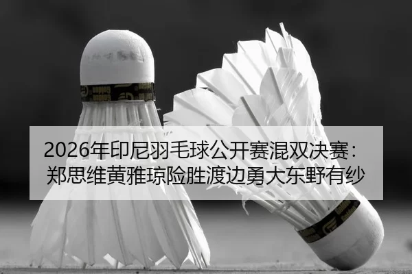 nian-yin-ni-yu-mao-qiu-gong-kai-sai-hun-shuang-jue-sai-zheng-si-wei-huang-ya-qiong-xian-sheng-du-bian-yong-da-dong-ye-2-708.jpg